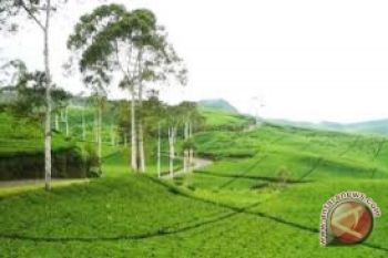 Pemkot Manado Siapkan 20 Persen Lahan RTH 