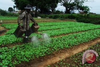 Inflasi Bandarlampung 6,49 Persen