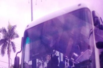 Pendapatan bus Transmusi naik 
