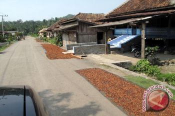 Harga Komoditas Unggulan Di Bandarlampung Naik 