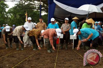 PTPN VII Dukung Program Ketahanan Pangan Nasional 