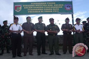 1.000 Bibit Pohon Ditanam Di Pasar Raya