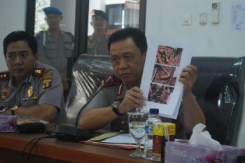 Pembunuhan Orangutan