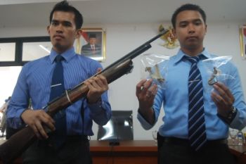 Bukti Pembunuhan Orangutan 