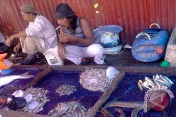 DKP Jambi gagas penggunaan pakan ikan rumput laut