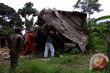 Hutan Way Kambas masih terbakar