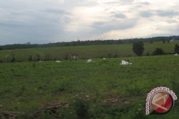Petani Di Metro Belum Tanam Padi