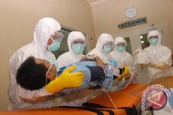 WHO : Jangan abaikan gejala awal flu burung