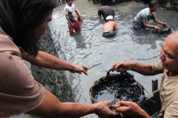 SWADAYA BERSIHKAN SUNGAI