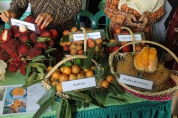 ANEKA BUAH LOKAL