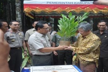 MENHUT SERAHKAN BIBIT AKASIA
