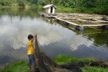 Jaring Apung
