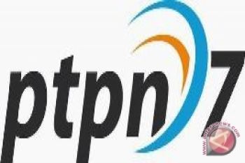 PTPN VII Gelar Lomba Tulis Berhadiah Rp70 Juta