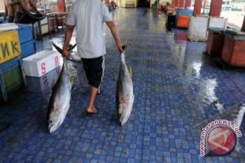 Sulut Ekspor Ikan Segar 684 Ton Ke Beberapa Negara
