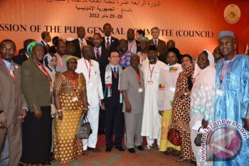 Parlemen Islam Afrika Grup