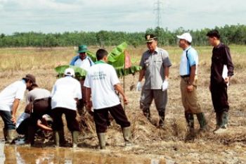 PEMBERANTASAN OPT TERPADU