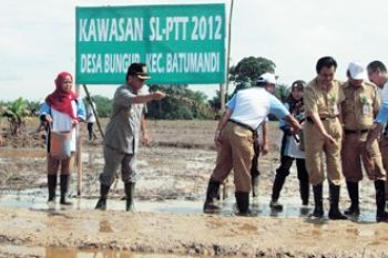 SEMAI BENIH UNGGUL