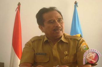 26 Persen Desa Di Sultra Belum Teraliri Listrik