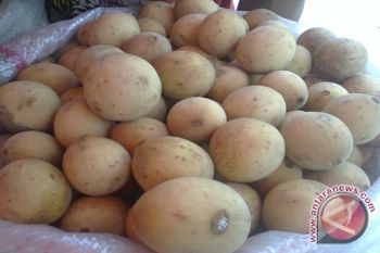 Buah Duku Sumsel Banjiri Lampung