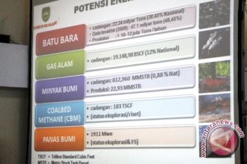 BLU bisa jadi opsi pengelolaan dana ketahanan energi 