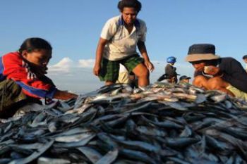 PASAR IKAN JEMPUR