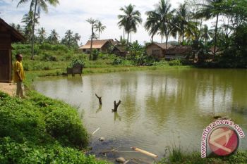 Petani Pubian Lampung Tengah Harapkan Bibit Ikan 