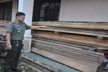 BARBUK KAYU ILEGAL