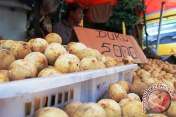 Harga Duku Berangsur Naik