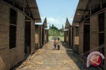 Rehabilitasi pascaerupsi Merapi butuh Rp1,3 triliun  
