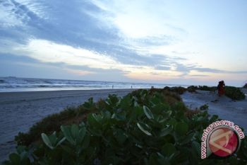 Pantai Panjang lokasi pengamatan burung migrasi