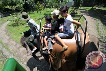 Yogyakarta zoo has potential to host 21st SEAZA conference