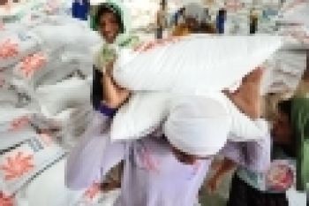 Mentan Larang Bulog Kalsel Ambil Beras Sulsel