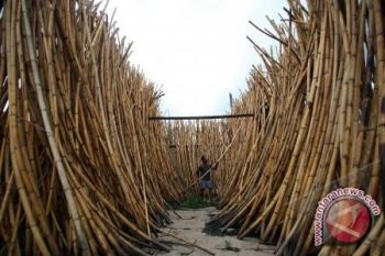 Rotan olahan bisa dapat Resi Gudang