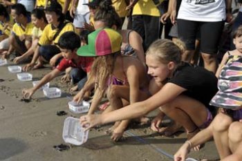 PERINGATAN HARI BUMI