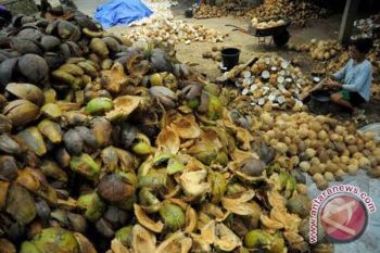 Ekspor Tepung Kelapa Sulut ke Jerman Terus Bertambah
