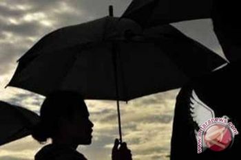 Indef: LSM yang menghalangi investasi harus ditindak