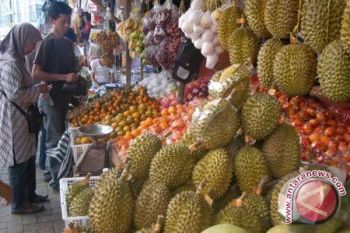 Saatnya Industri Benih Lokal Peroleh Kesempatan