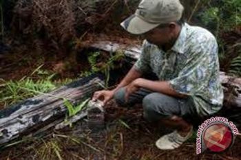 Kabupaten di Sumsel masih ada bersengketa batas 
