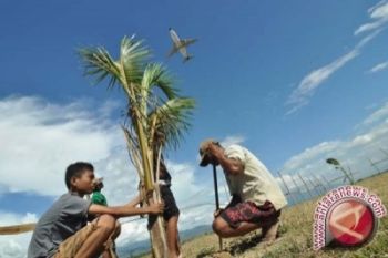 Warga Tanam Pisang Di Ujung Landasan Bandara Mutiara