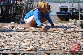 Ikan Asin Kampung Nelayan