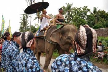 Gajah Borobudur Meriahkan Kirab Budaya Wanurejo