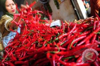 Cabai merah pemicu inflasi