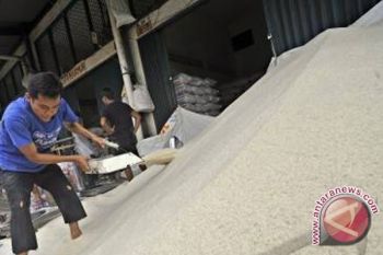 Harga Beras Di Sentra Produksi Masih Tinggi