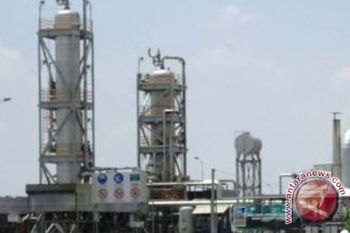 Harga Minyak Turun Karena Saudi Ragu Batasi Produksi