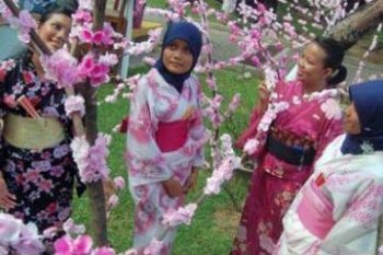 TAMAN SAKURA