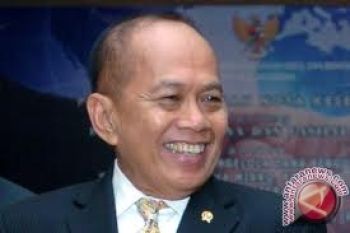 Syarief Hasan sebut Inggrid Kansil "mantan" 