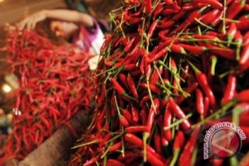 Kenaikan Harga Cabai Karena Produksi Petani Turun