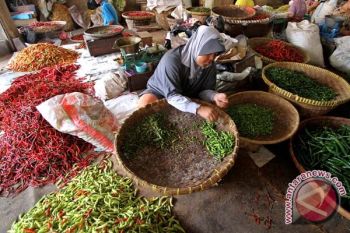Harga cabai di tingkat petani anjlok
