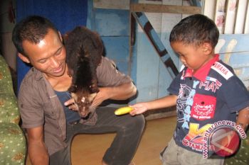 Tetap Menggeluti Usaha Kopi Luwak