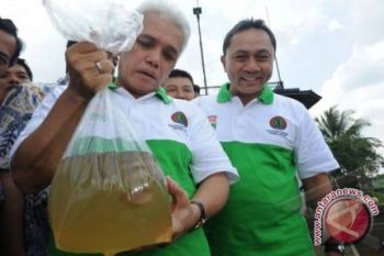 Hukum Adat Untuk Lestarikan Arwana